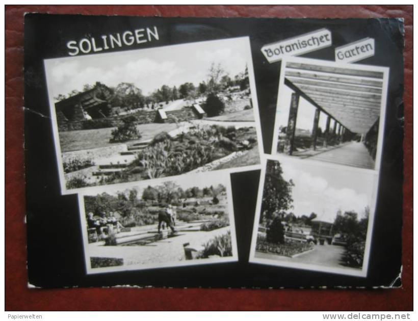 Solingen - Mehrbildkarte "Botanischer Garten" - Solingen