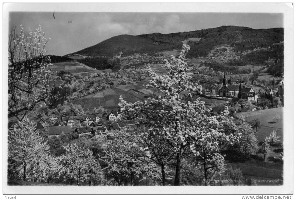 15774     Germania,   Region  De  Buhl (Bade),  Environs  D"Achern,  La  Foret-Noire A Sasbach,  NV  (scritta) - Bühl