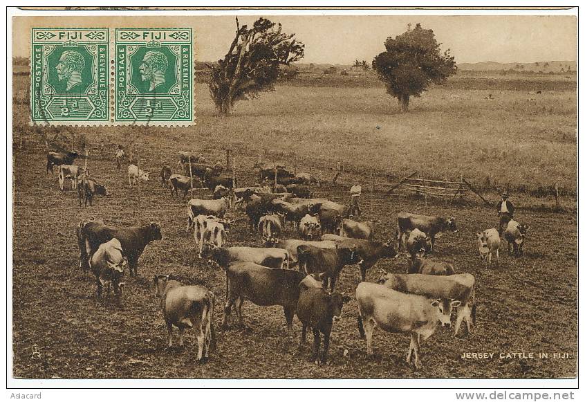 Jersey Cattle In Fiji Fiji Stamps Not Postally Used Edit Tuck Milk  Lait - Fidji