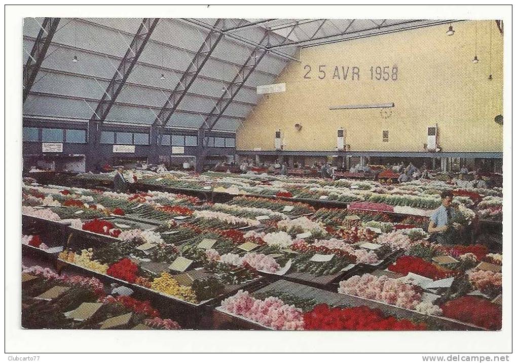 Aalsmeer (Pays-Bas) : Grote Zaal In De Snijbloemen-afdeling Centrale Aalsmeersche Veiling In 1958 (animée) - Aalsmeer