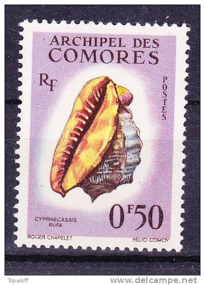 Comores N°19 Neuf Sans Charniere - Unused Stamps