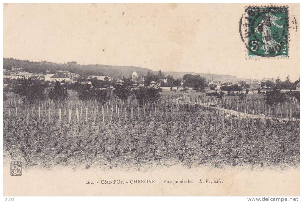 CHENOVE.  _  Vue Generale. Gros Village Dans Les Vignes. De Part Et D'autre Quelques Fruitiers. - Chenove