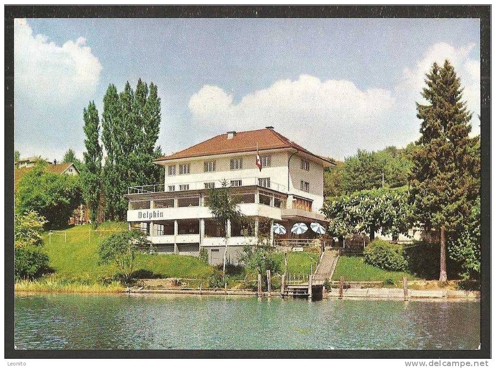 Meisterschwanden AG Seehotel Delphin Am Hallwilersee 1977 - Meisterschwanden