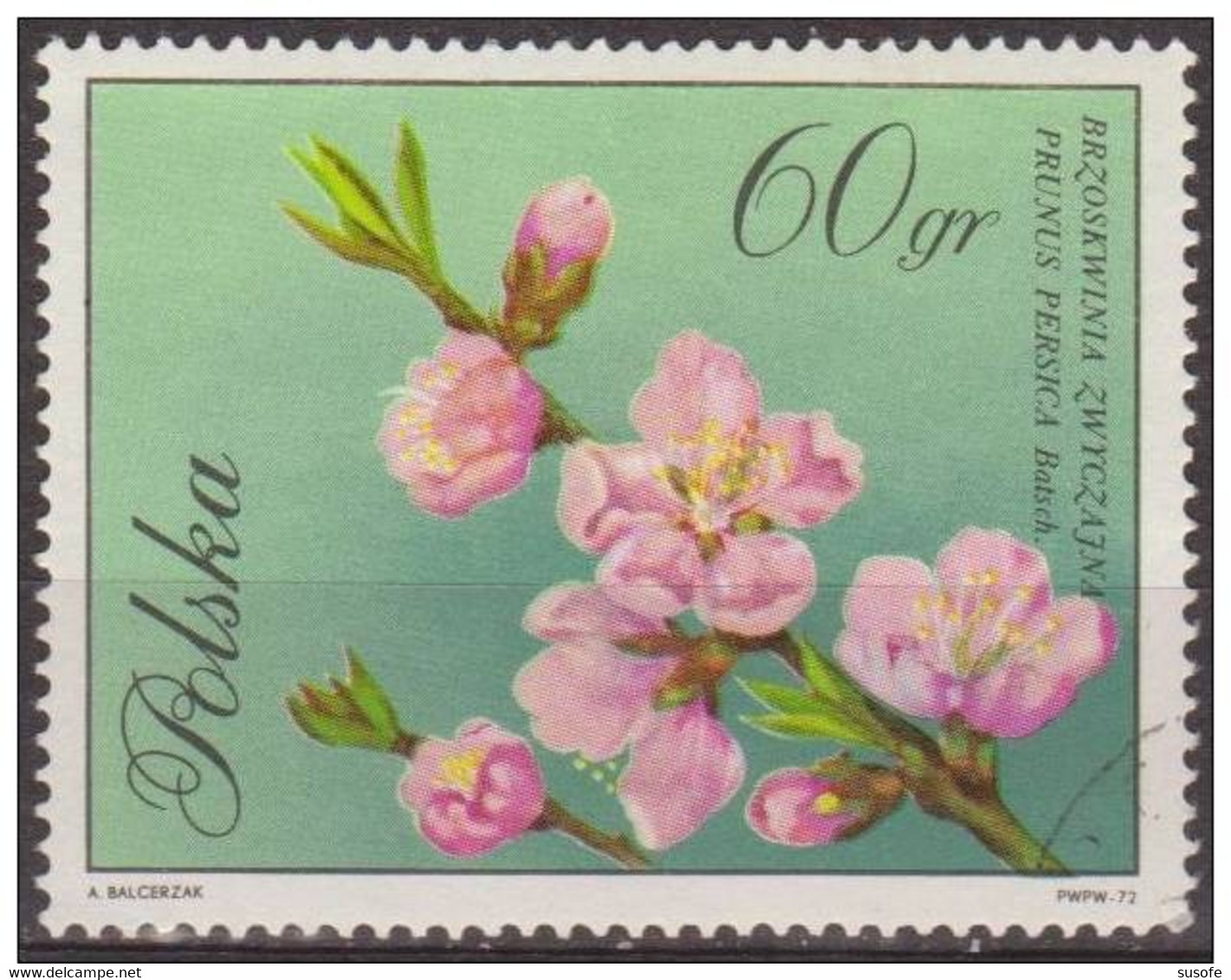 Polonia 1971 Scott 1863 Sello * Flora Flor Melocoton Prunus Persica Michel 2135 Yvert 1982 Polska Stamps Timbre Pologne - Nuevos
