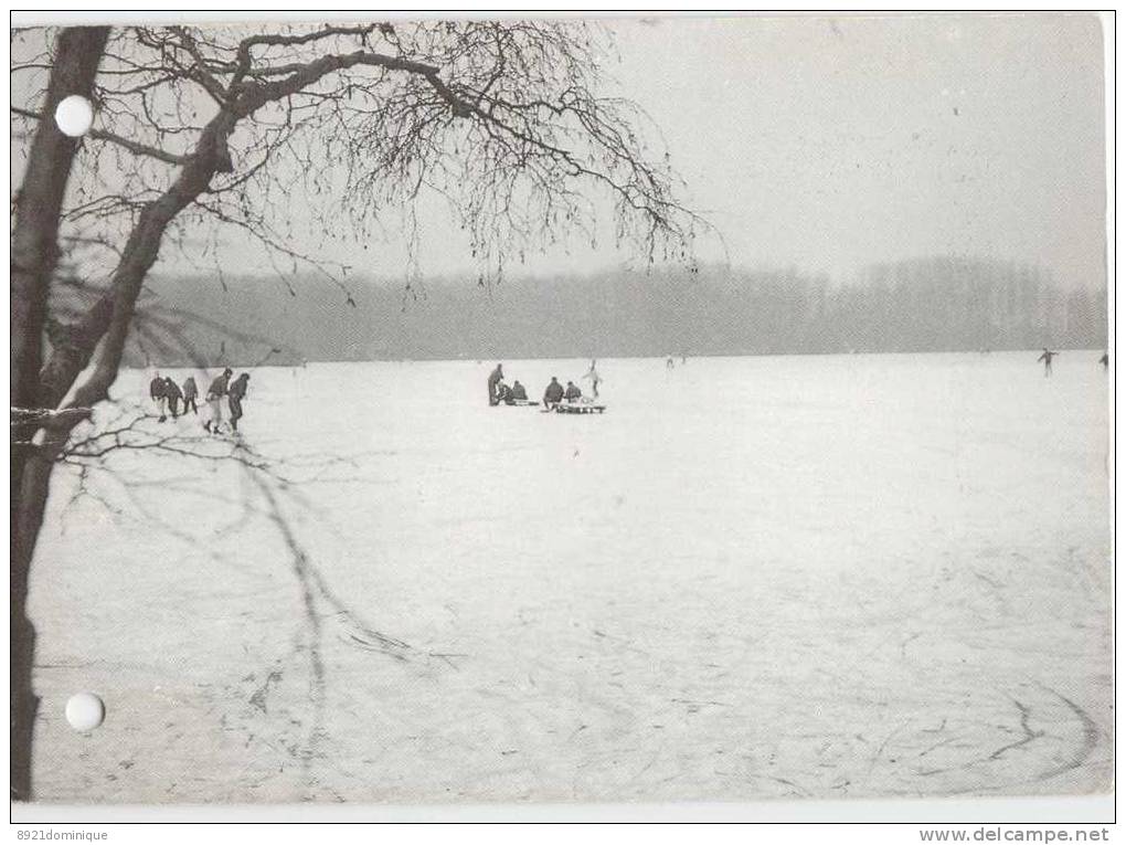 Aalter - Bellem - Winterpret Op De Kraenepoel - Aalter