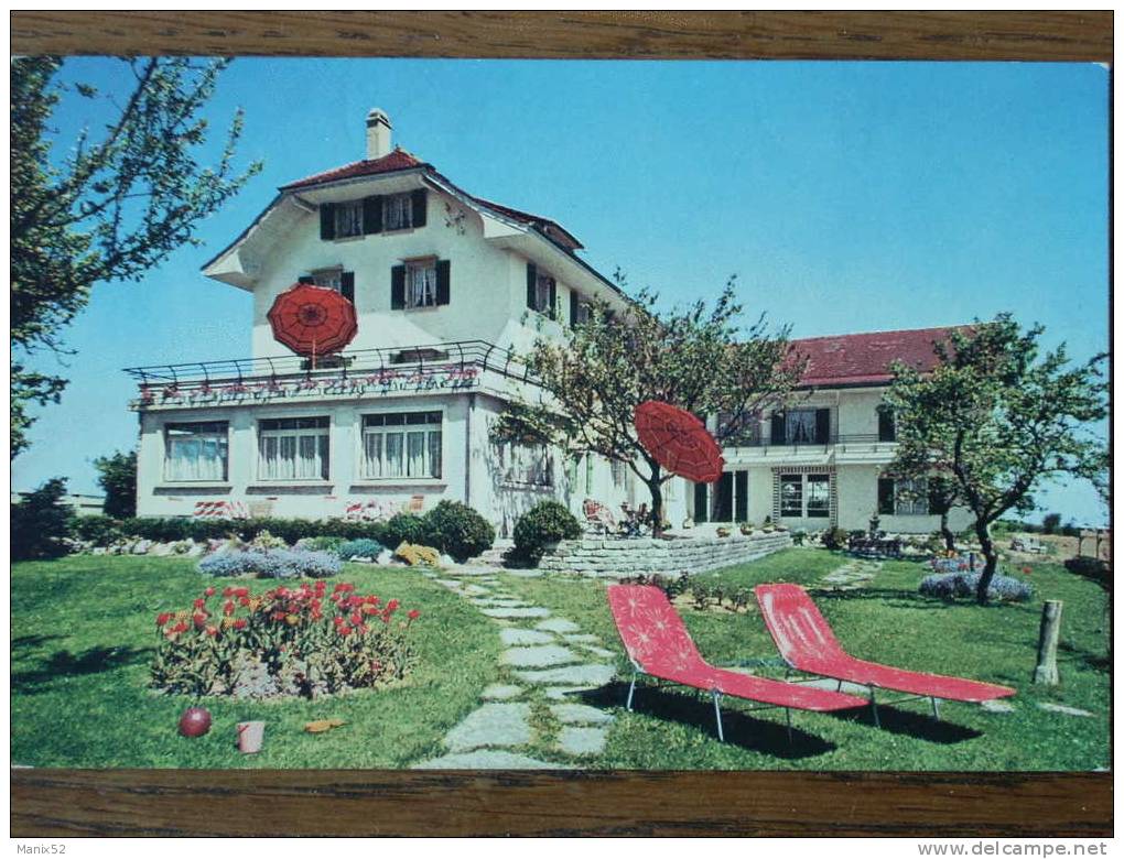 SUISSE - LES CULLAYES (VAUD) - Pension Du Signal. - Les Cullayes