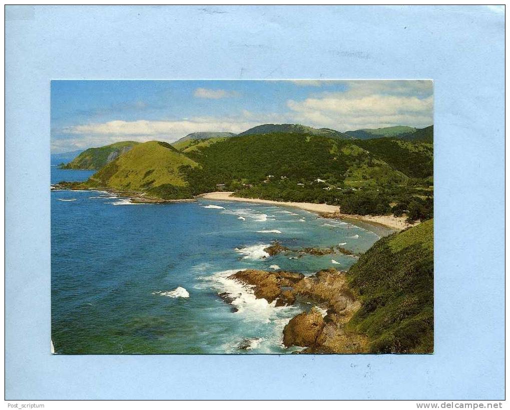 Afrique - Afrique Du Sud - Port St Johns - Transkei - Afrique Du Sud