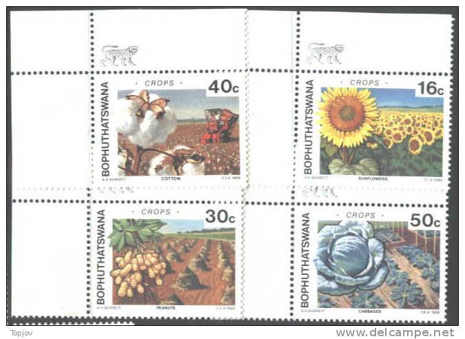 BOPHUTHATSWANA  -  CROPS  -  FLOWERS  -  1988  -  MNH** - Légumes