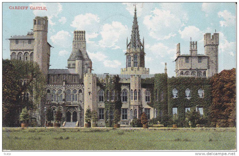 Cardiff Castle 1908 - Cardiganshire
