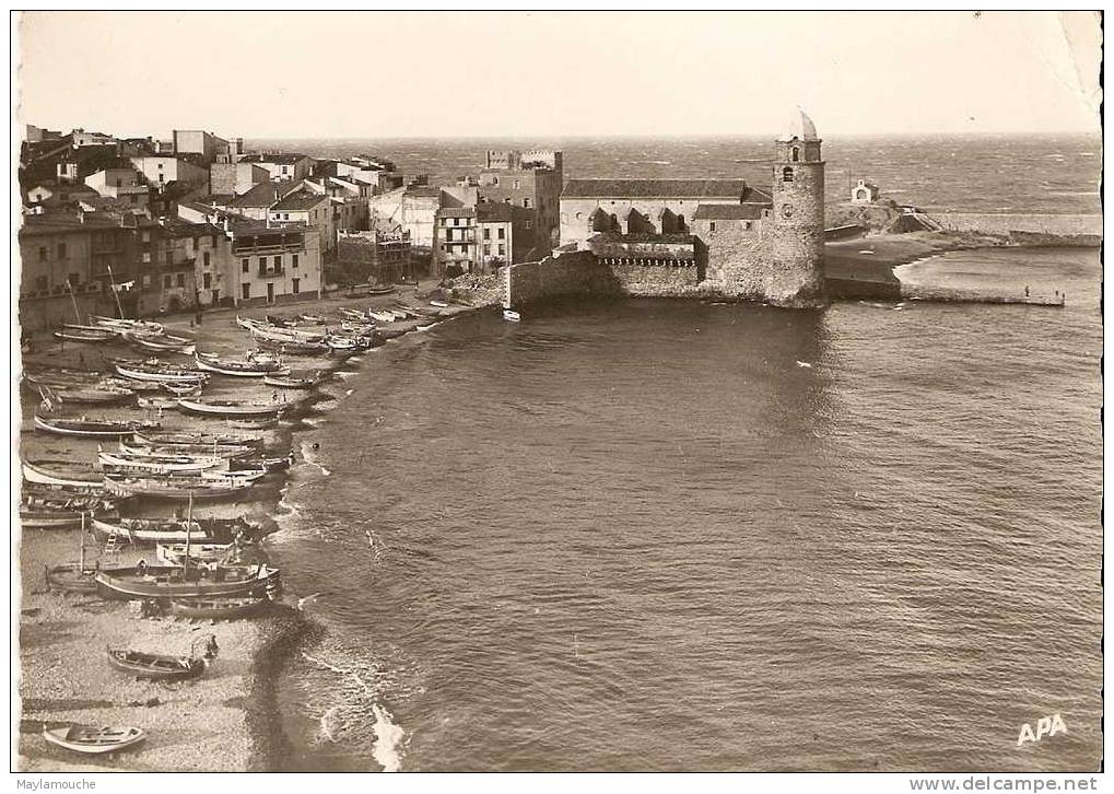 Collioure - Collioure