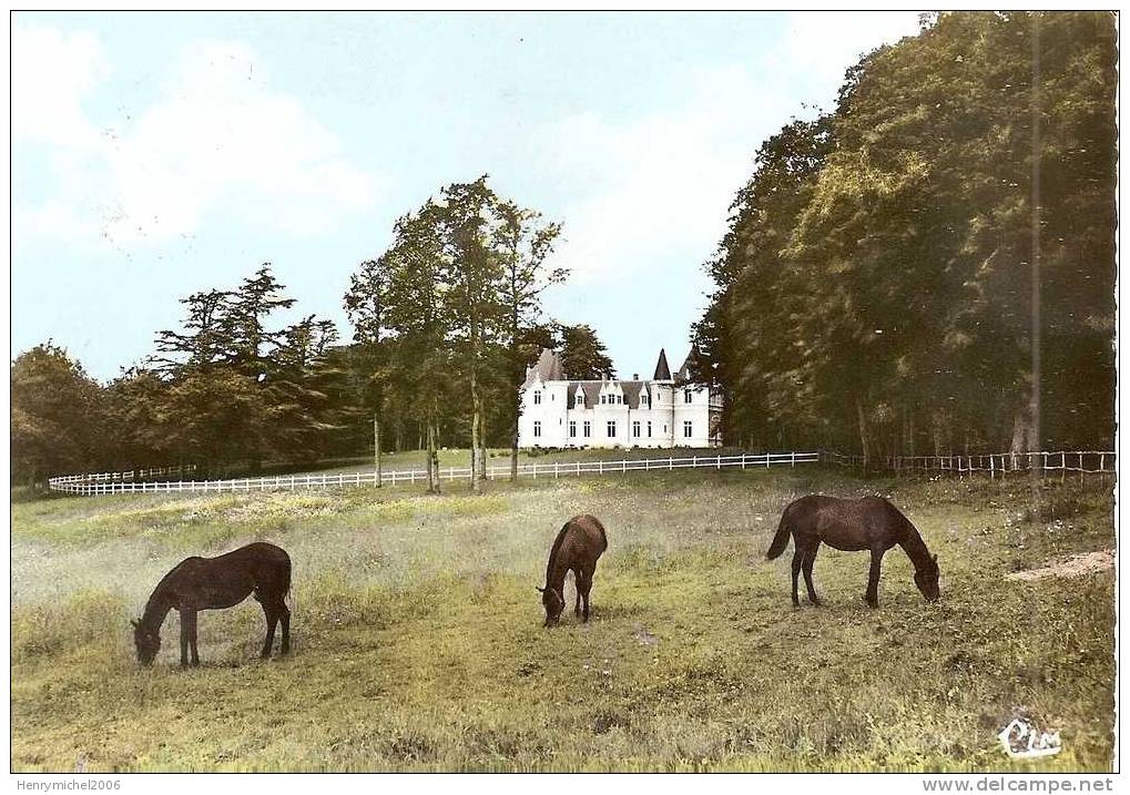 Indre Et Loire - Nouzilly , Chateau De Charentais En 1972 Avec Chevaux Au Parc , Ed Photo Cim - Other & Unclassified