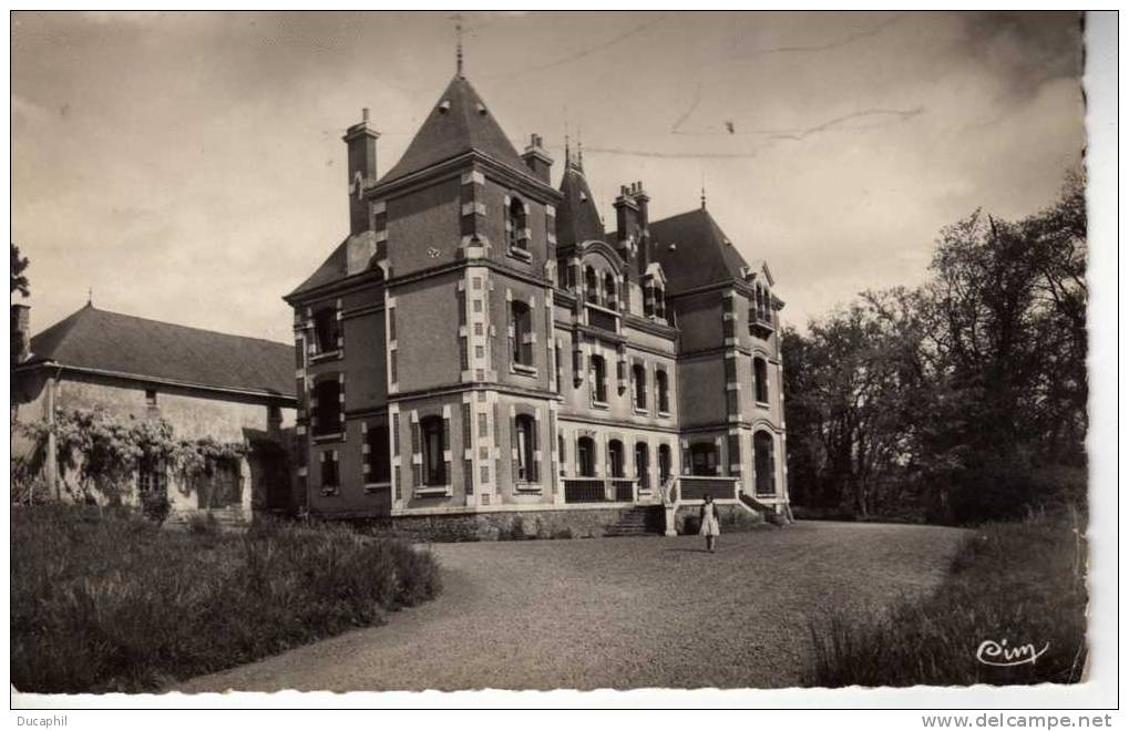 Anché (Vienne) Château Du Cèdre - Sonstige & Ohne Zuordnung