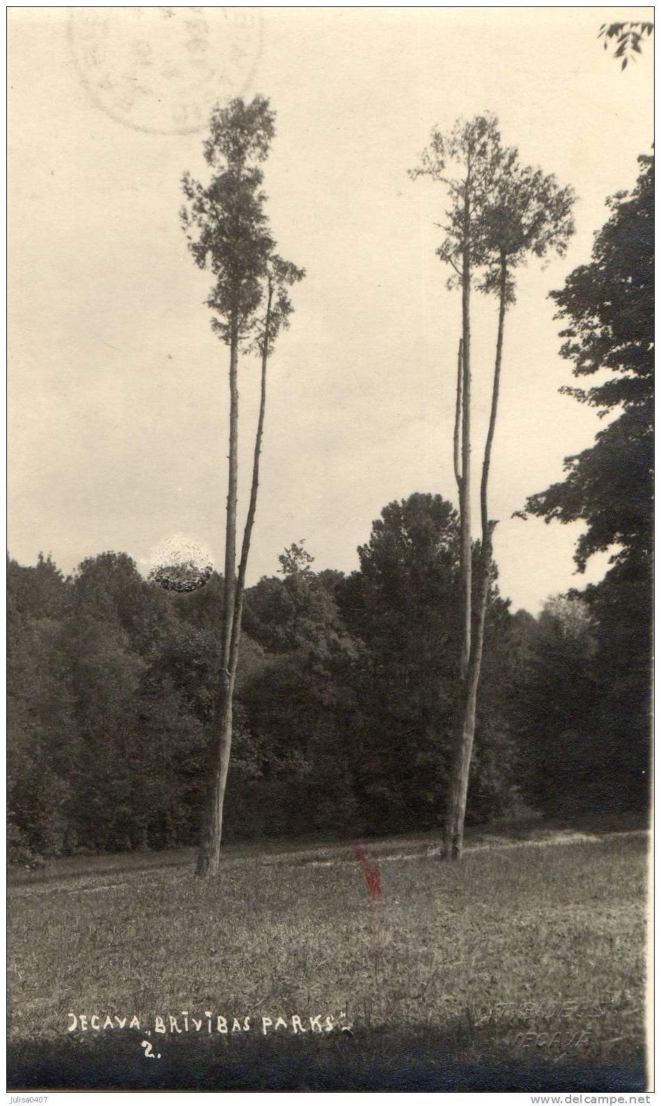 IECAVA (Lettonie) Paysage Arbres - Lettonie