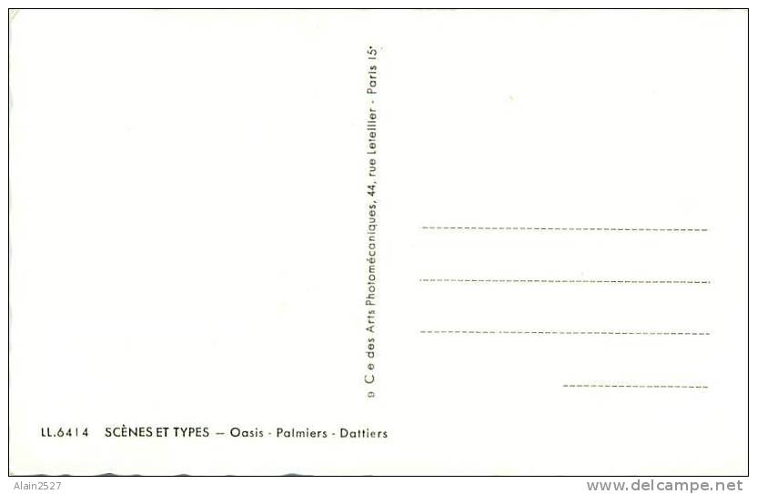 Oasis - Palmiers - Datteirs (CAP, LL. 6 4 1 4) - Scènes & Types