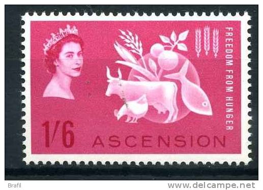 1963 Asciension,  Lotta Alla Fame Faim , Serie Completa Nuova (**) - Ascension (Ile De L')