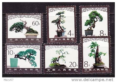 PRC 1665-70    **  MINITURE  TREES - Nuovi