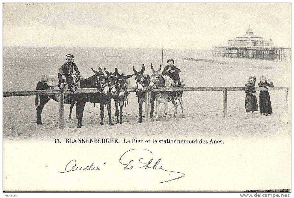 BLANKENBERGHE : Le Pier Et Le Stationnement Des Anes - Cachet De Le Poste 1908 - Blankenberge