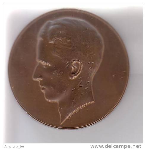 Médaille Roi Baudouin - Koning Boudewijn - 1940-1945 - J VANHORENBEEK - 11E LINIE 8015 - Monarchia / Nobiltà