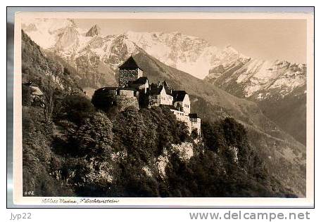 Jolie CP Photo Liechtenstein Schloss Vaduz Le Château - Ed Buck Schaan - Liechtenstein