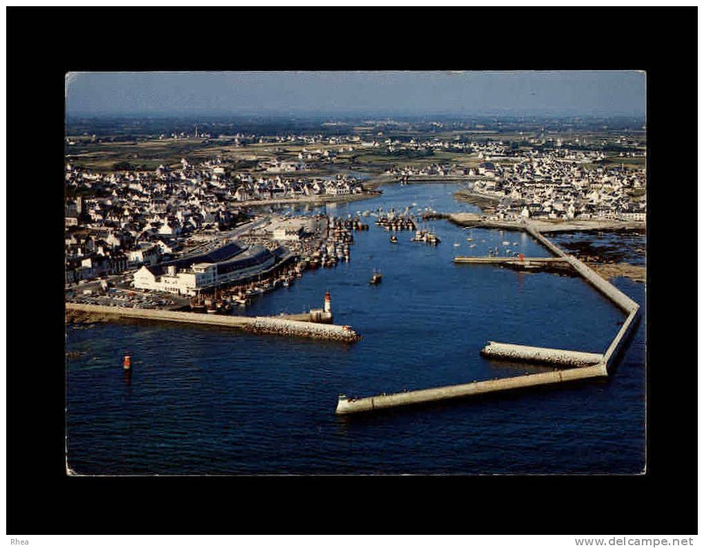 29 - GUILVINEC - Les Grands Ports De Pêche - Guilvinec