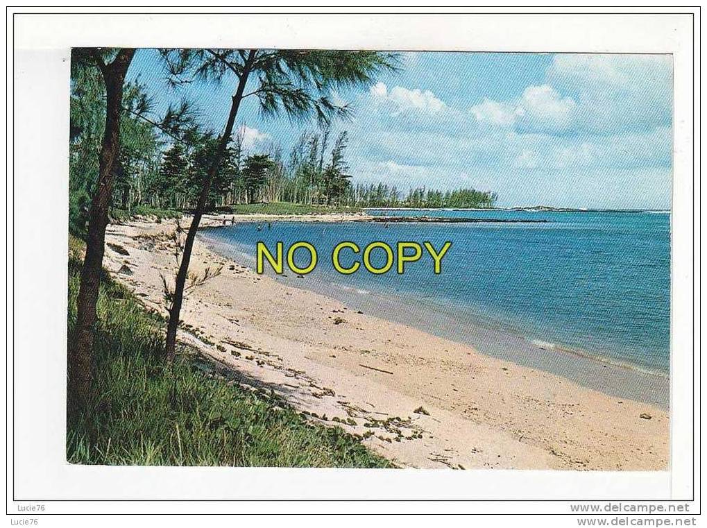 ILE MAURICE -  MAURITUS   -  La Plage De St Félix  -   St Felix Beach   -  N°   026 - Mauricio