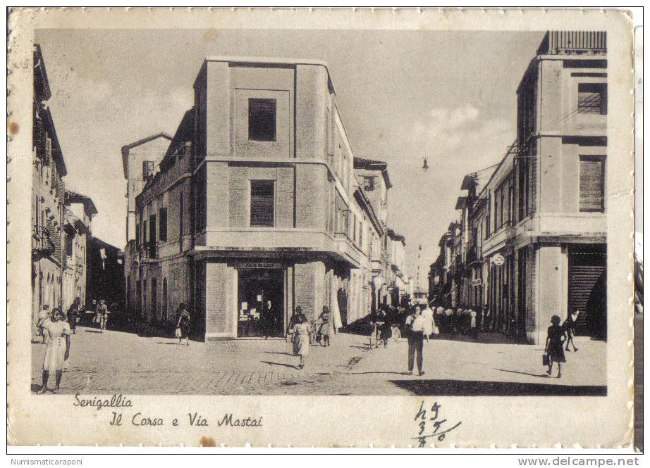 SENIGALLIA IL CORSO E VIA MASTAI  VIAGGIATA 1950  COD.C.1165 - Senigallia