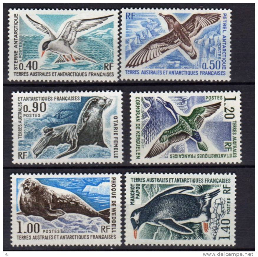 TAAF N° 55 / 60 Luxe ** - Unused Stamps