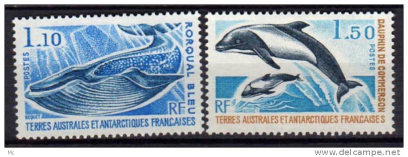 TAAF N° 64 / 65 Luxe ** - Unused Stamps