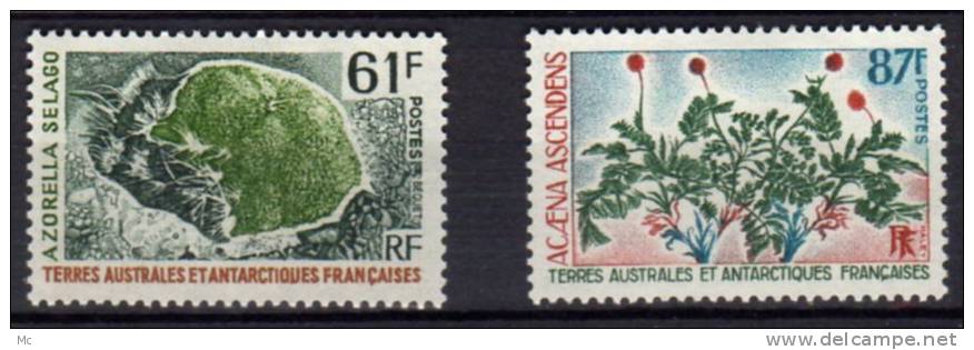 TAAF N° 52 / 53 Luxe ** - Unused Stamps