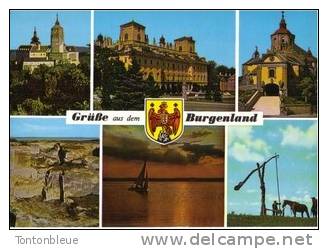 Burgenland - Forchtentein / Eisenstadt-Schlob Und Berkirche St Margarethen / Neusiedlersee / Seewinkel = Envoi En 1983 - Altri & Non Classificati