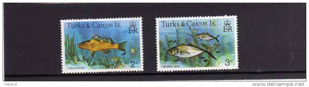 TURKS & CAICOS ISLANDS FAUNA FISHES TOBACCOFISH PASSIN JACK FISH PESCI PESCE MNH - Turks & Caicos