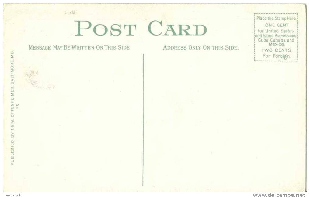 USA – United States –  Agricultural Building, Washington D.C. Early 1900s Unused Postcard [P3599] - Washington DC
