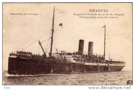 CHAOUIA - Paquebot Rapide De La Cie Paquet (telegraphie Sans Fil A Bord) (25133) - Dampfer