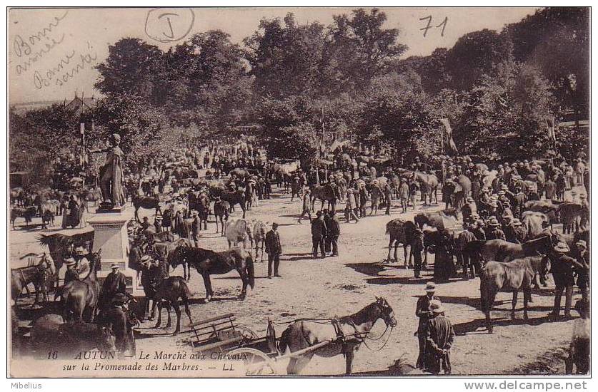 71 AUTUN -Marché Aux Chevaux Sur La Promenade Des Marbres -Avec Cachet Militaire Pour André Maroulier, Remoncourt (Vosg - Autun