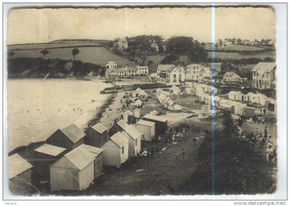 CPM DPT 29 DOUARNENEZ PLAGE DU RIS - Douarnenez