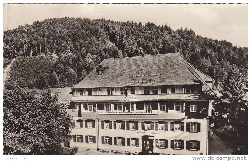 TODTMOOS / HOTEL LOWEN   /////    REF19584 - Todtmoos