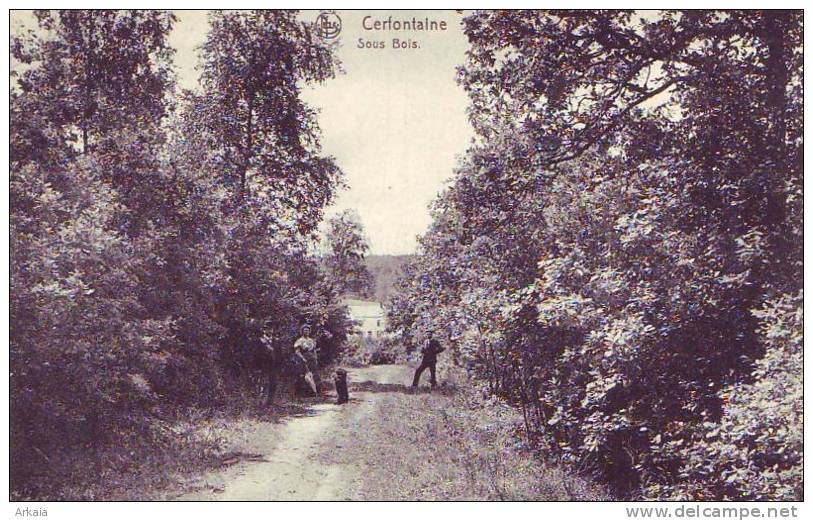 CERFONTAINE = Sous Bois - Carte Animée  (Nels) 1910 - Cerfontaine