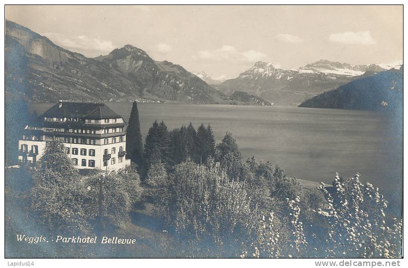 ZQ 226 / C P A   - SUISSE -WEGGIS PARKHOTEL BELLEVUE - Bellevue