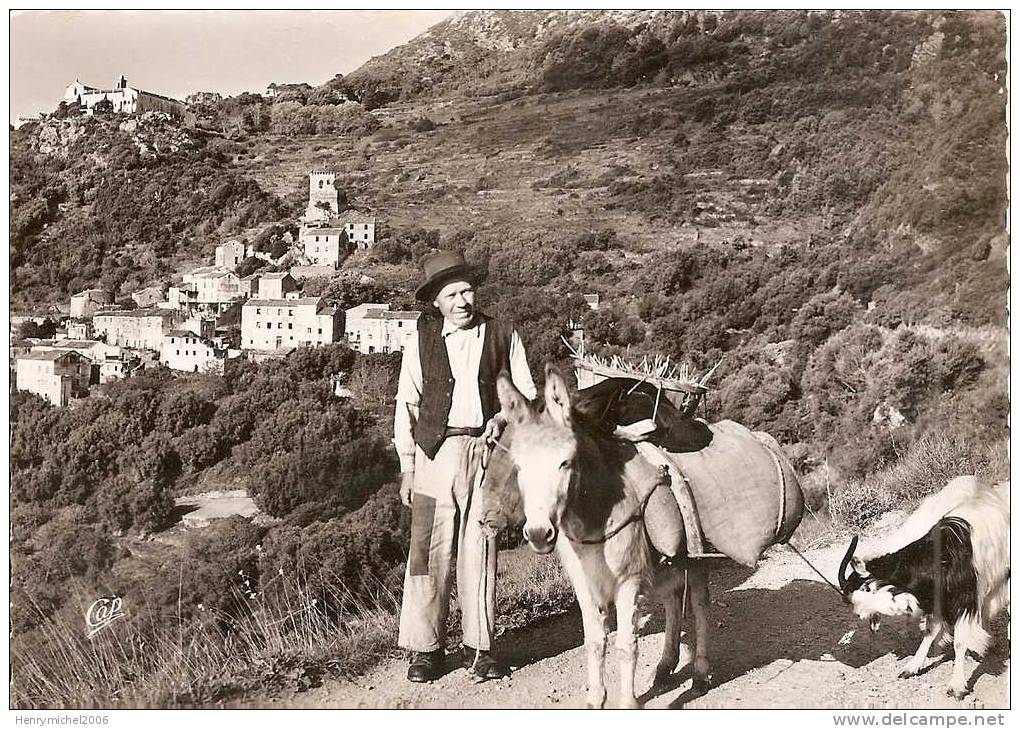 Corse - Types Corses Avec Ane Et Chèvre , Ed Real Photo - Corse