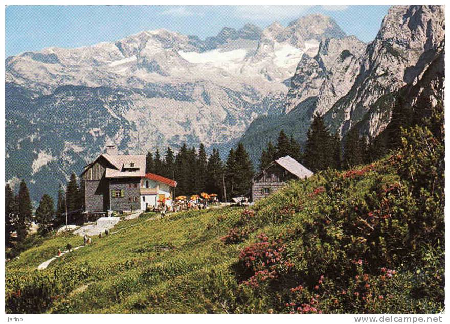 Österreich- Ober&#337;sterreich, Gablonzer-Hütte 1550 M Mit Hoh. Dachstein 3004 M.  Gelaufen Ja - Hallstatt