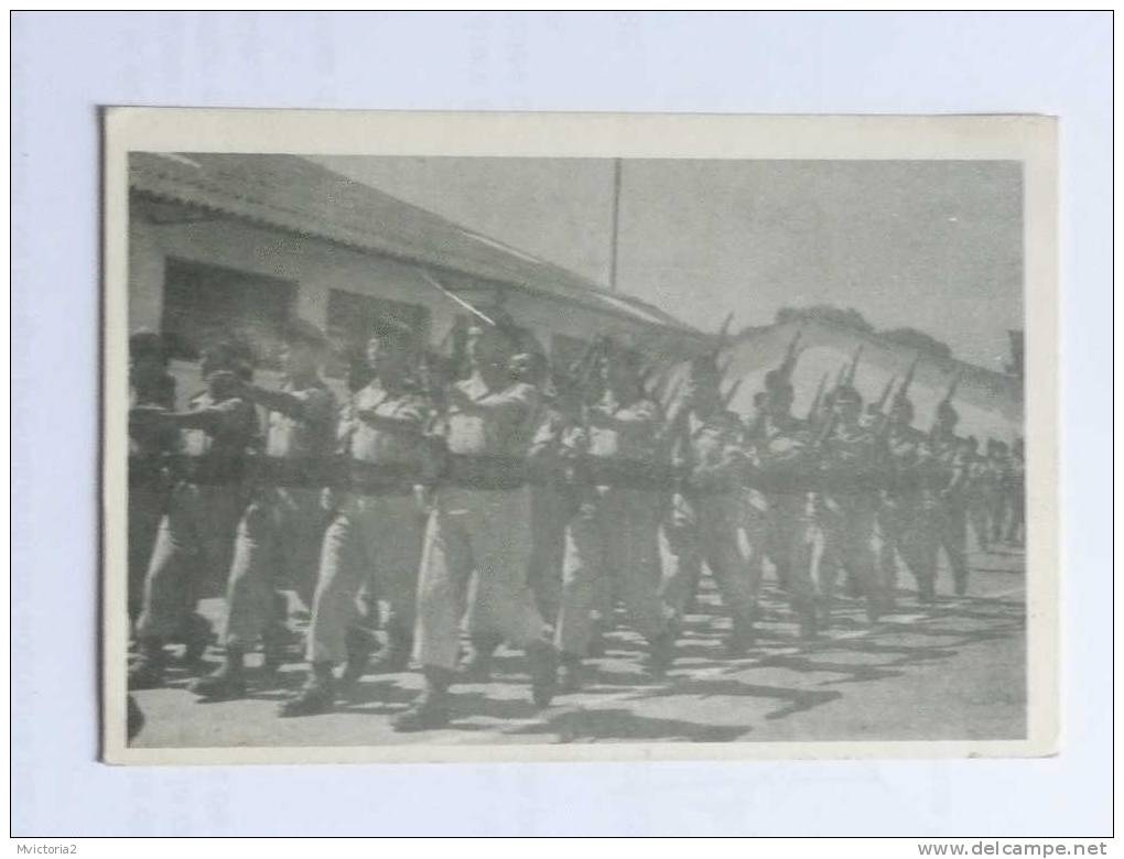 RABAT - 8ème Bataillon De Zouaves, Camp Ving, Prise D'Armes Le 23 Juillet 1958 - Rabat