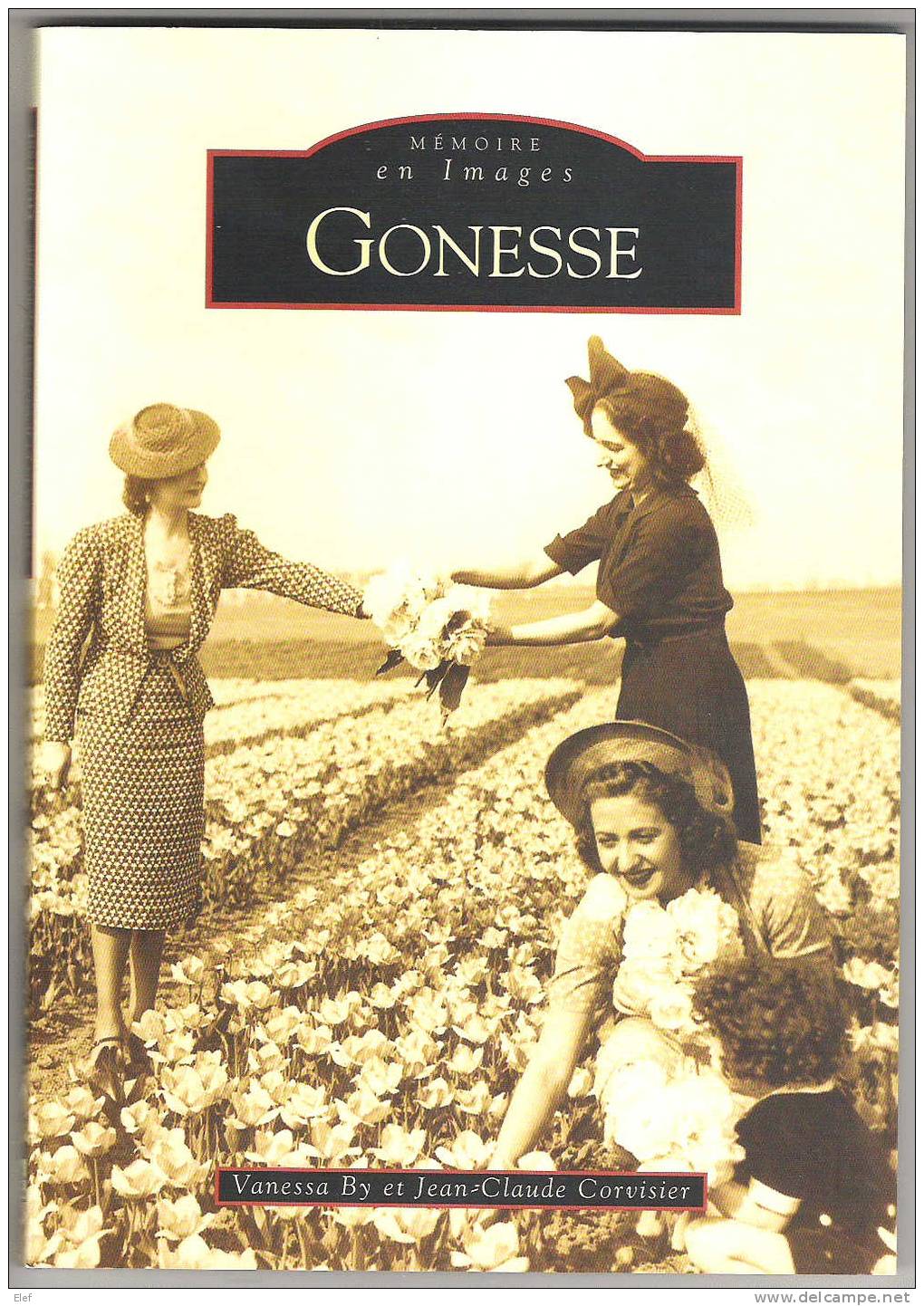 Livre GONESSE,Val D´Oise;"Mémoires En Images";cartes & Photos;Fleurs Tulipe,Sport Aviation;...128 Pages ,ed Sutton - Livres & Catalogues