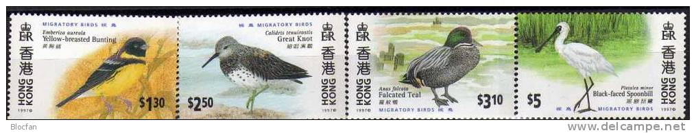 Zugvögel 1997 Dienst An Der Gemeinschaft Hongkong 811/4 ** 4€ Naturschutz Vögel Ammer Enten WWF Birds Set From HONG KONG - Ongebruikt