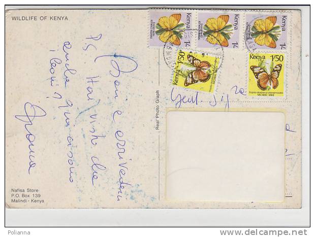 PO7687A# KENYA - LEONE  VG 1991 - Kenya