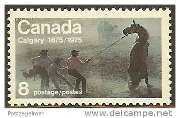 CANADA 1975 MNH Stamp(s) Wild Horse 600 # 5642 - Unused Stamps
