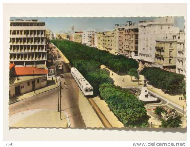 Tunis Avenue Habib Bourguiba  Old Postcard - Tunisia