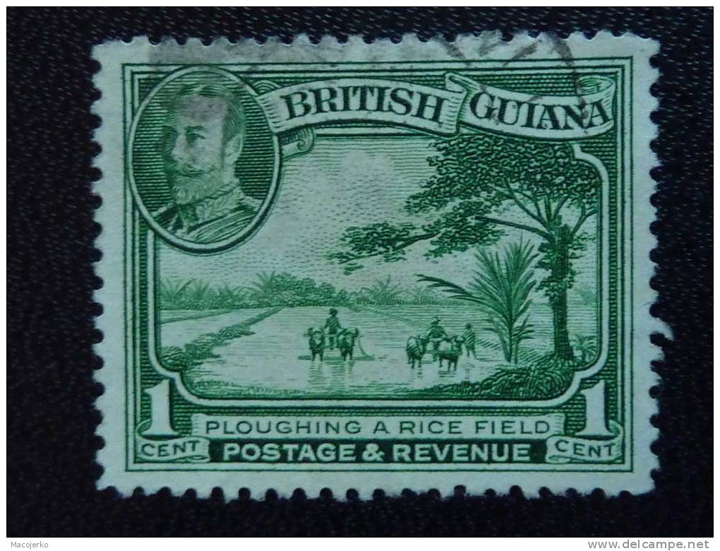 Guyana, 1934, Michel 156 Obl. - Guyana (1966-...)