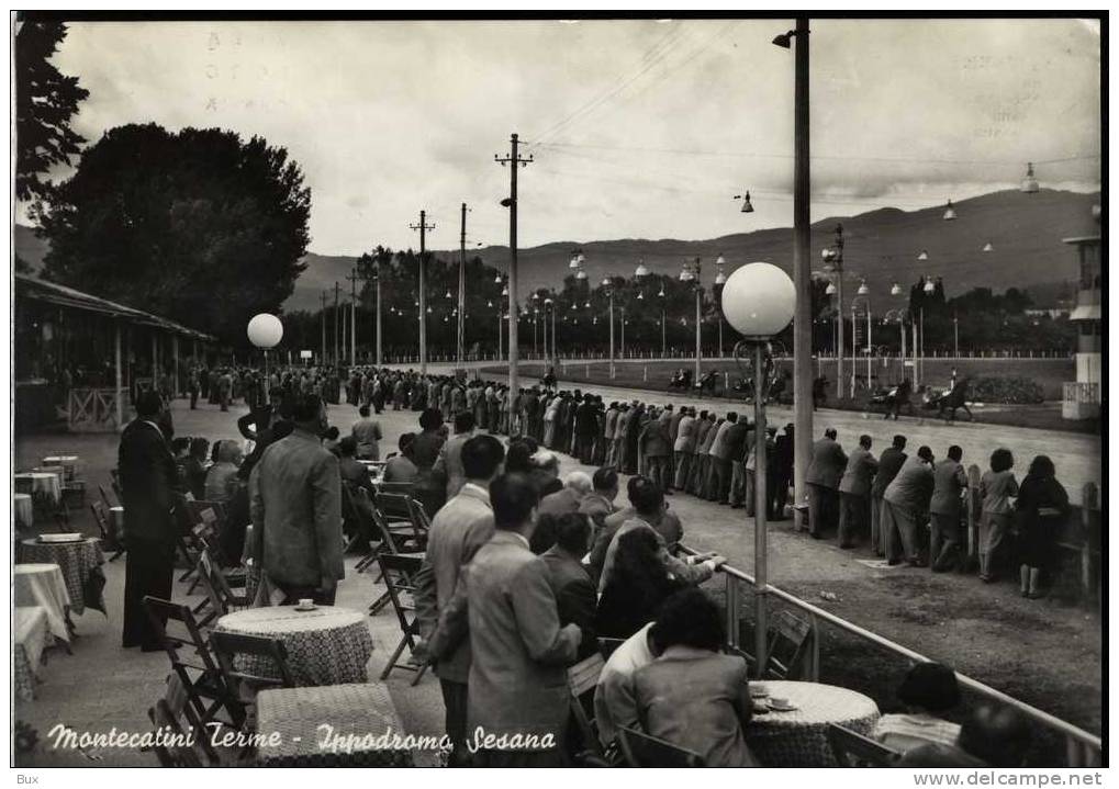 IPPODROMO SESANA  IPPICA MONTECATINI TERME TOSCANA  PISTOIA I  VIAGGIATA  COME DA FOTO BOLLO RIMOSSO - Reitsport