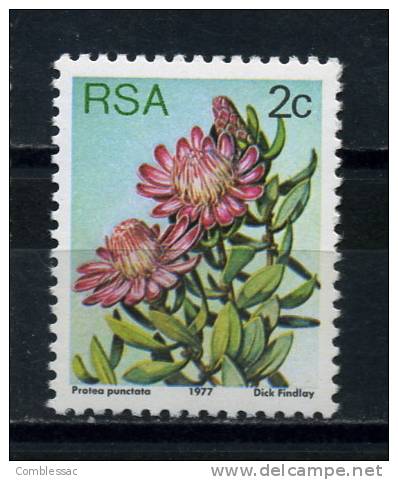 SOUTH  AFRICA    1977    2c   Ppunctata    MNH - Other & Unclassified