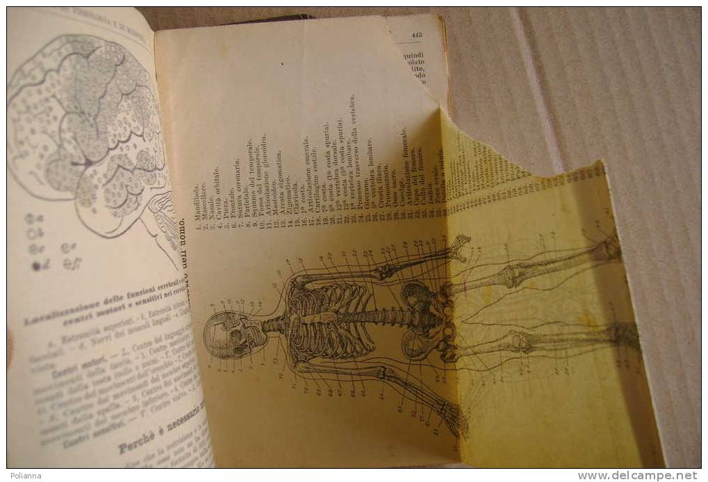 PDW/20 ENCICLOPEDIA TASCABILE BEMPORAD 1916/CARTE GEOGRAFICHE/AVIAZIONE/BOTANICA/CHIMICA/TARIFFE FERROVIARIE - Enzyklopädien